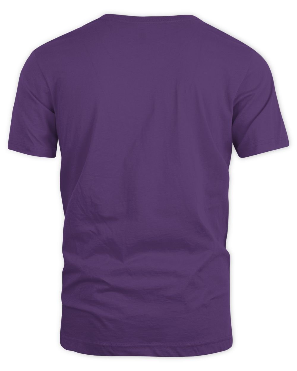 CFP 2024 Washington Huskies National Championship Participant T-Shirt Unisex Standard T-Shirt purple s